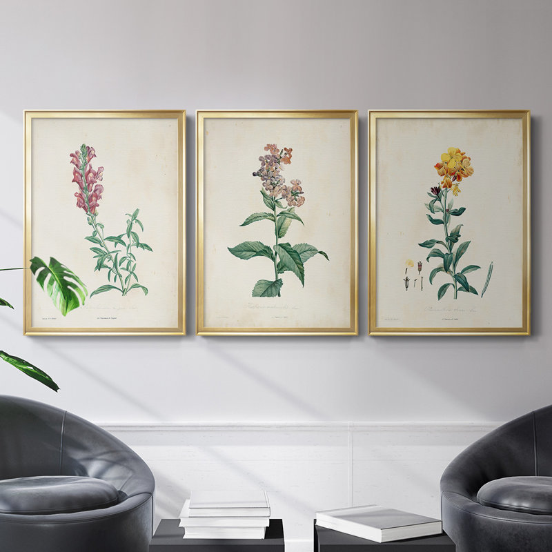 Toile encadrée de qualité supérieure Traditional Botanical I - prête à être accrochée, Or, H 42,5 po x l 91,5 po x P 1,25 po