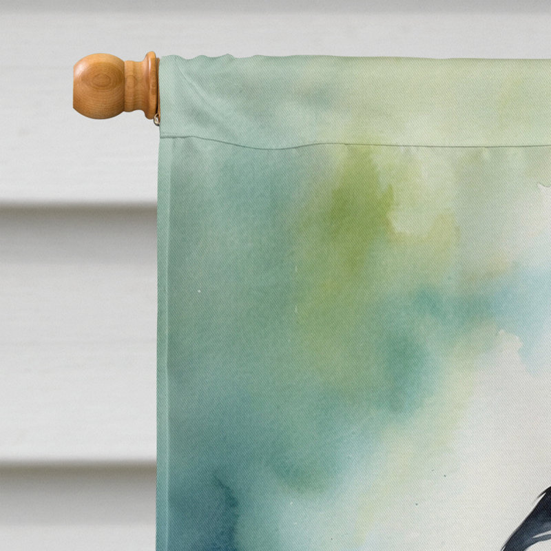 Drapeau pour la maison, Mésange à tête noire du Massachusetts