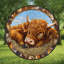 Vache Highland-129206168