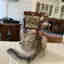 Customer photo 2 of 2