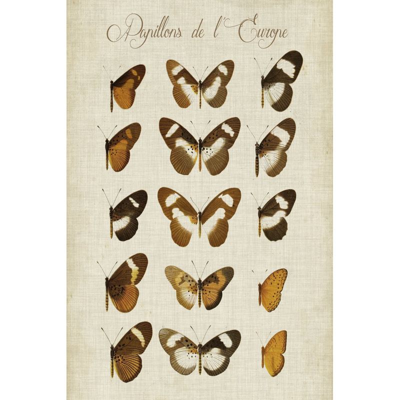 Papillons de L''europe IV 1 Piece Wrapped Canvas Wall Art, 30cm H x 20cm W x 3.8cm D