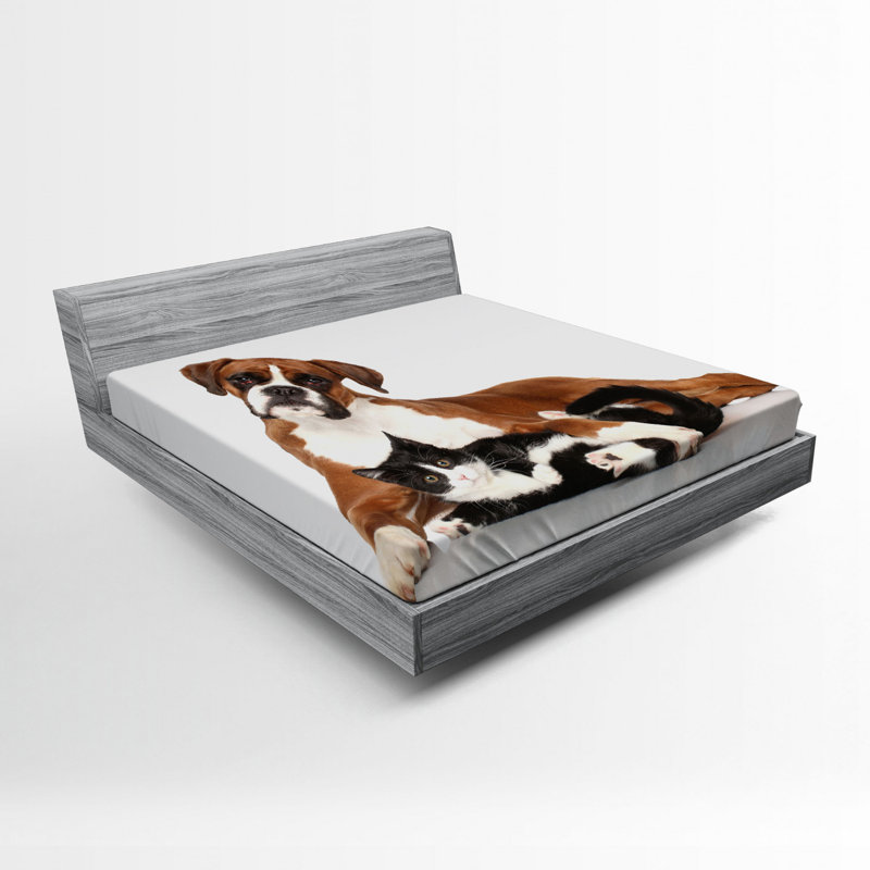 Drap-housse animal, Drap-housse grand