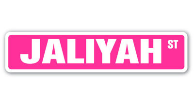 Jaliyah Street Sign Heavy Duty Plastic 4" X 18"