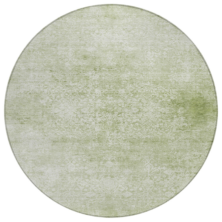 Machine Washable Indoor/Outdoor Xhevrie Sage Rug