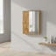 Aenwood 440mm W 580mm H Surface Framed Medicine Cabinet Mirror Fixed