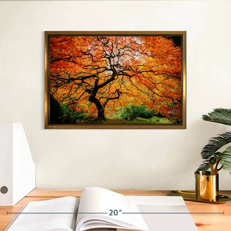Automne érable japonais, Cadre flottant doré, 13 po x 9 po