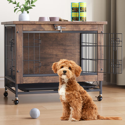 Dog House