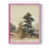Pink is unavailable