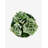 Functional Beauty Ceramic Succulent Arrangement