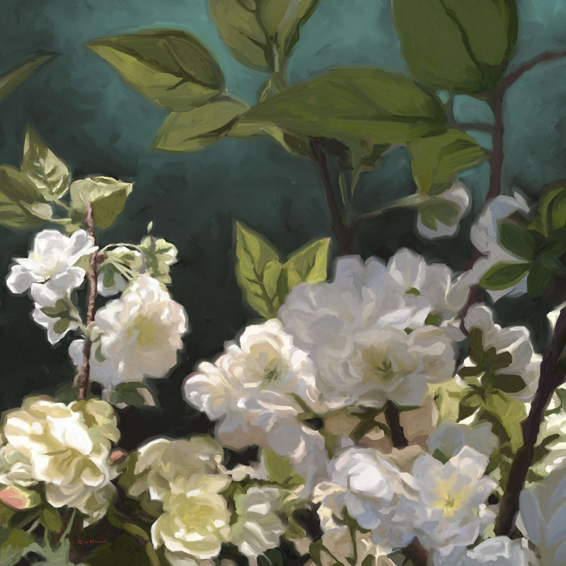 Roses blanches I, H 12 po x l 12 po
