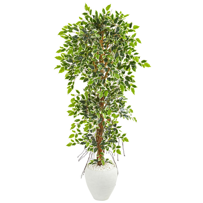 Arbre de ficus artificiel 66" en pot de fleurs