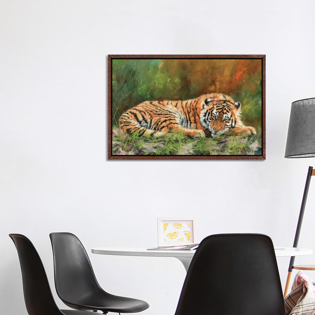 Amur Tiger Repose von David Stribbling - Gallery-Wrapped Canvas Giclée on Canvas