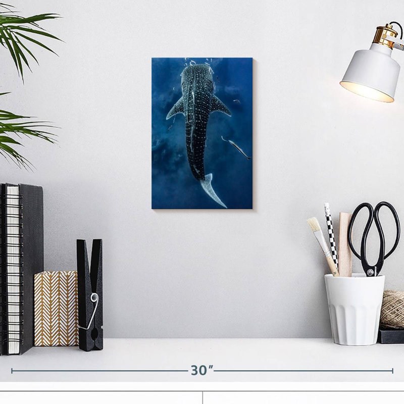 Brampt Spotted Whale Shark, 12" H x 8" W