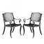 Patio Chair,Dining Chair,Armchair