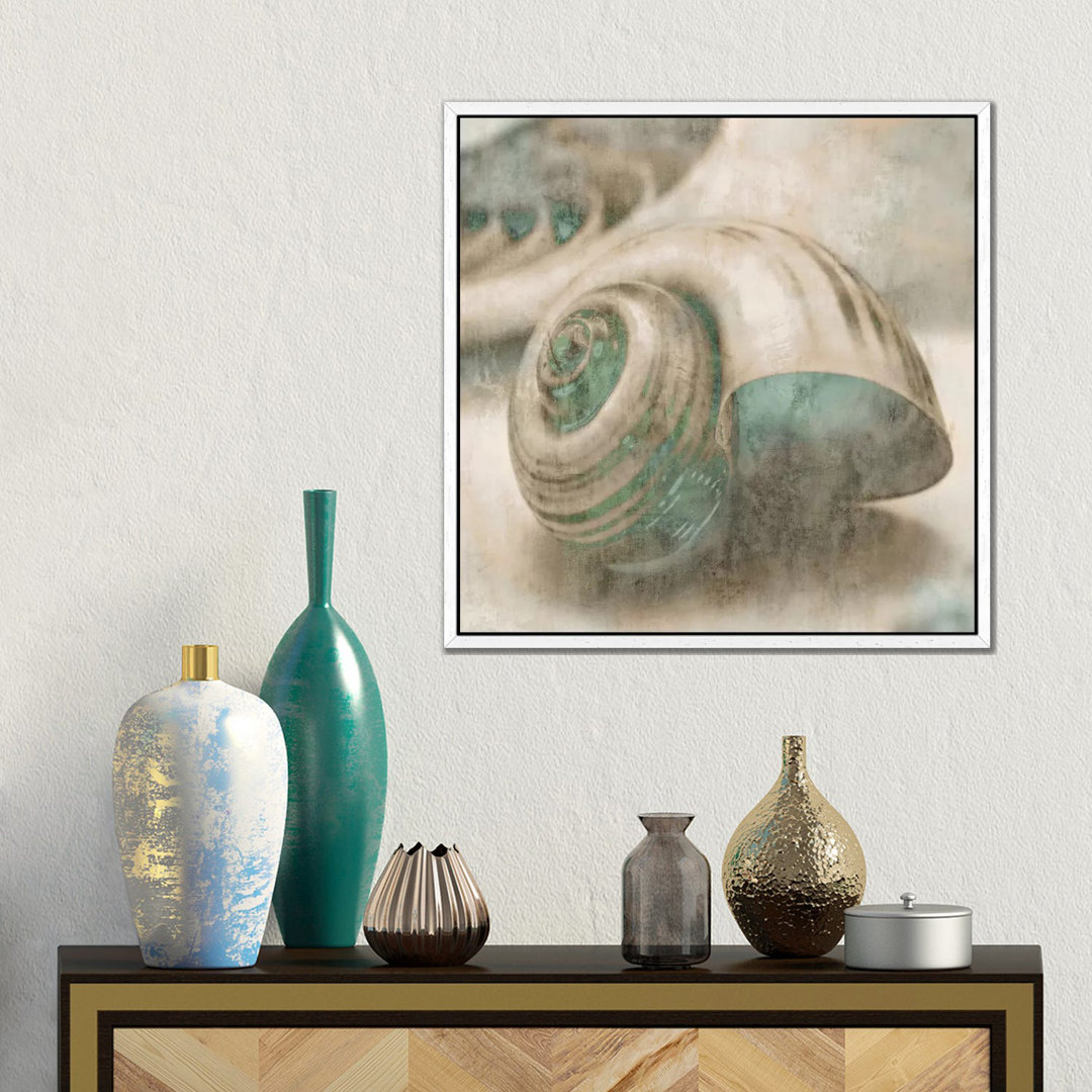 Coastal Gems II by John Seba - Wrapped Canvas Graphic Art Print