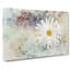 Beautiful White Daisy in Abstract - Wrapped Canvas Painting Print-55317128