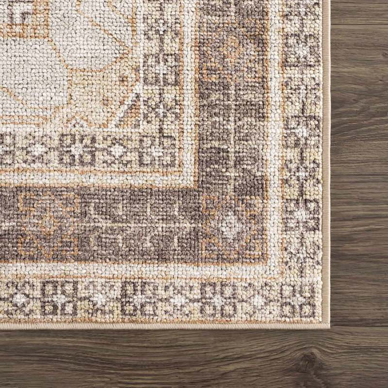 Albar Moroccan Machine Washable Brown Area Rug, Rectangle 2'7" x 4'