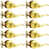 Polished Brass