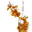 Plastic, Silk Blossom Arrangement