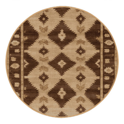 Machine Washable Overdyed Brown Area Rug