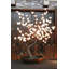 Bonsaïs illuminés et branches-22104824