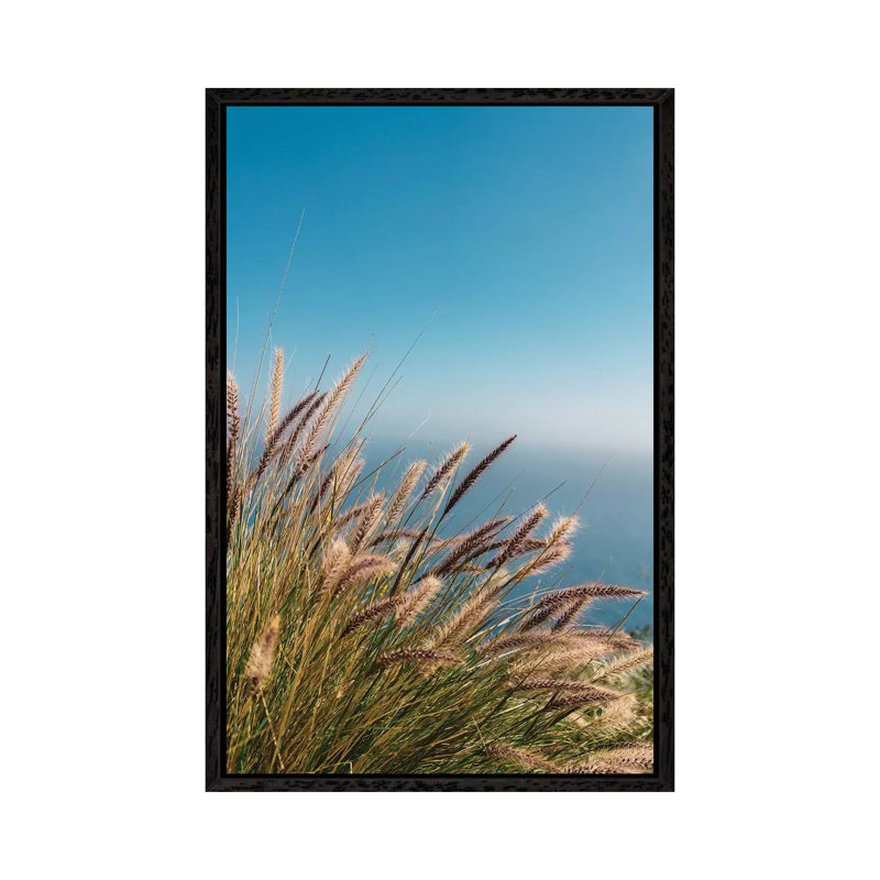 Wild Big Sur II by Bethany Young - Print on Canvas, 101.6cm H x 66.04cm W x 3.81cm D, Black Framed