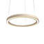1 - Light Chandelier-99842478-99842481