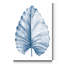 Reproduction d’art sur toile tendue « Indigo tropical Leaves III »-193286836