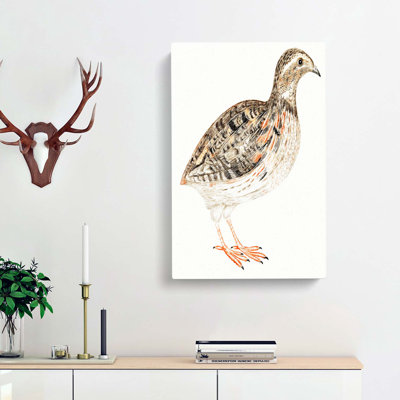 A Quail by Johan Teyler - Wrapped Canvas