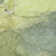 Machine Washable Indoor/Outdoor Xhevrie Green Rug