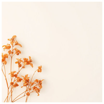 Couvertures de fleurs d'oranges séchées