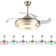 Kevin-Leigh Ceiling Fan with Light Kit
