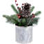 12 plantes