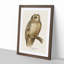 Short-Eared Owl by Von Wright - Picture Frame Painting Print-55764548-55764546