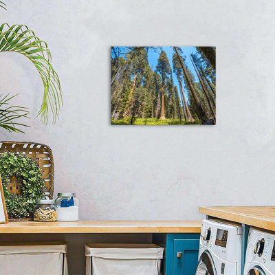 Wrapped Canvas Print