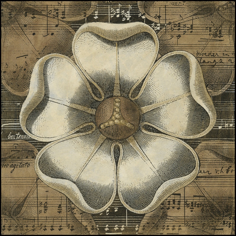 Rosette Detail VI 1 Piece Wrapped Canvas Wall Art, 76cm H x 76cm W x 3.8cm D