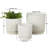 3 Piece Ceramic Ribbed Planter With Attached Saucer Set-899767961