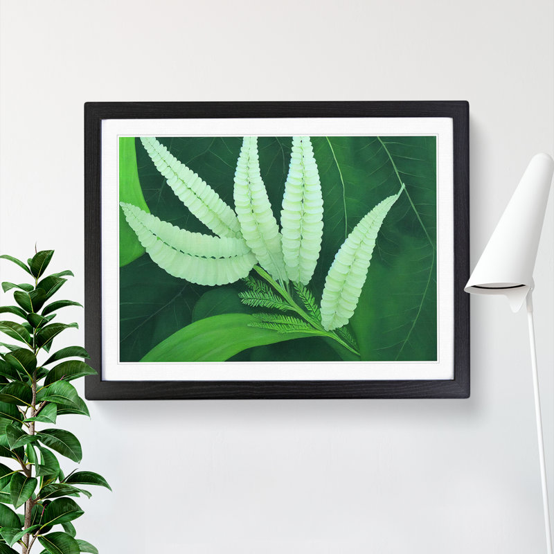 Imaginative Fern Leaf - Single Picture Frame Print, 46cm H x 64cm W x 2cm D, Black