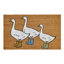 Outdoor Doormats