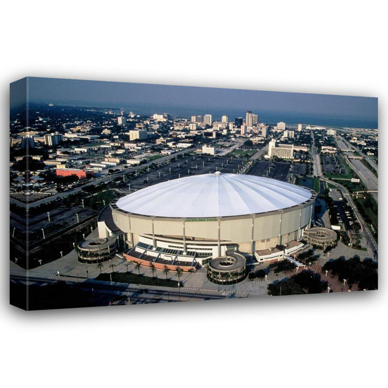 Tropicana Field, 16" H x 24" W
