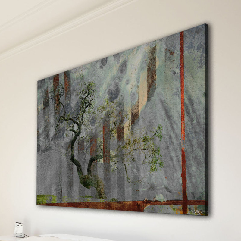 Parvez Taj - Wrapped Canvas Print, 30cm H x 45cm W