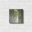 «Forest Study III» par Lisa Audit-1327035707