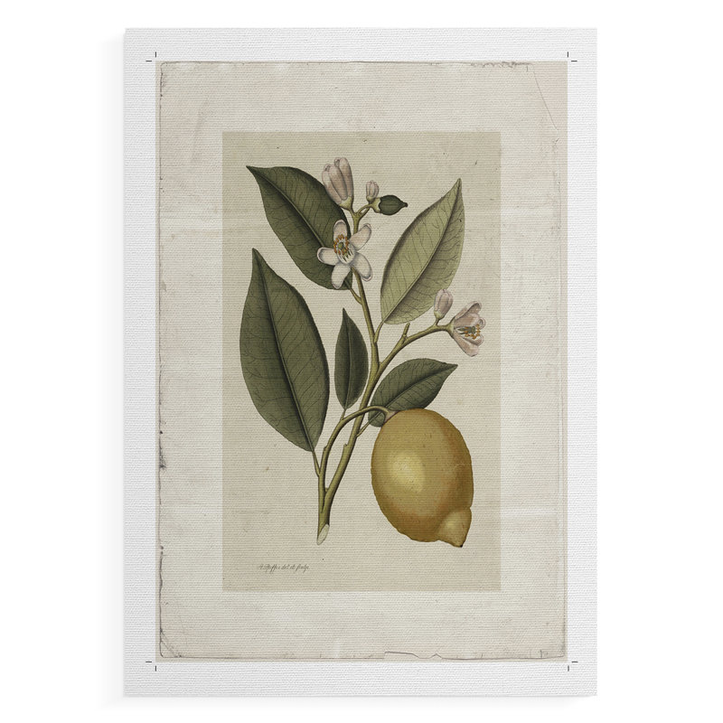 Imprimé floral rétro CCDLXVII - impression sur toile seulement - non encadrée