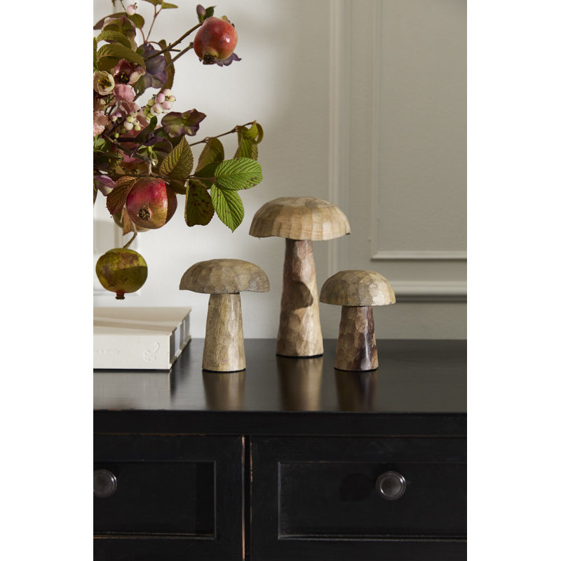 Ensemble de champignon Porcini de 3 à 3 po / 4 po / 5 po