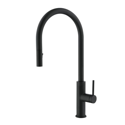 DAX Pull Out Kitchen Faucet