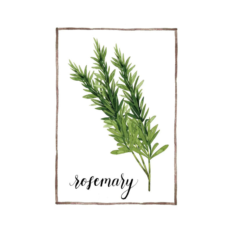 Watercolour Herbs V - Wrapped Canvas Print, 30.48cm H x 20.32cm W x 1.91cm D