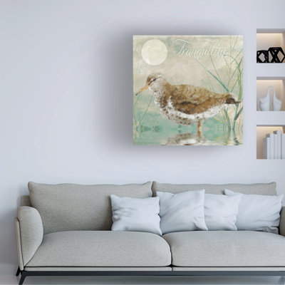 Bolog Sasha Sand Piper Ii Canvas Art