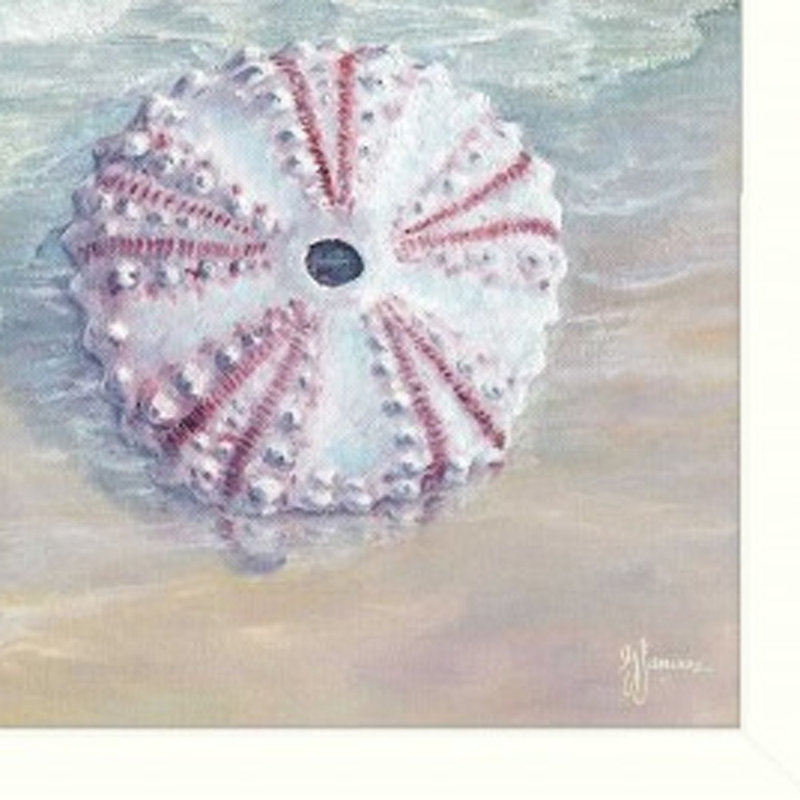 Ensemble de trois coquillages I, reproduction d'art encadrée blanche