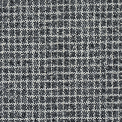 Tissu à carreaux Schumacher x Patterson Flynn Hudson