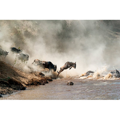 Wildebeest Leaping by Adogslifephoto - Wrapped Canvas Print